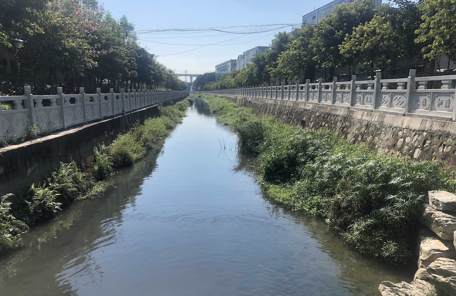 公司参建的茅洲河,车陂涌水环境治理项目入选《城市黑臭水体治理案例